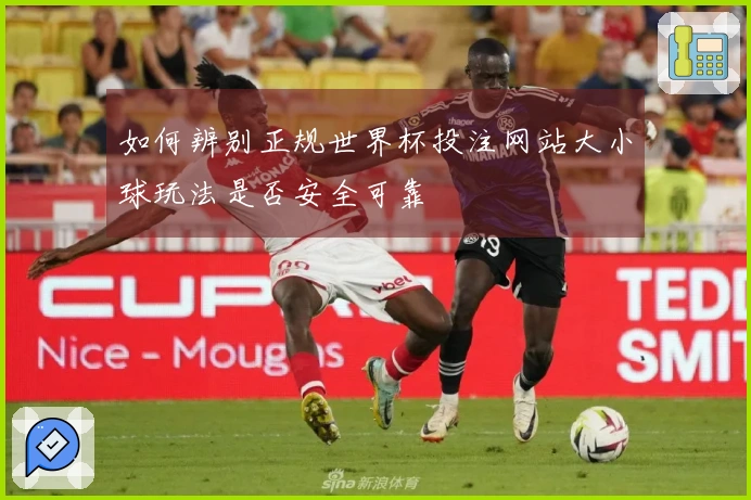 如何辨别正规世界杯投注网站大小球玩法是否安全可靠