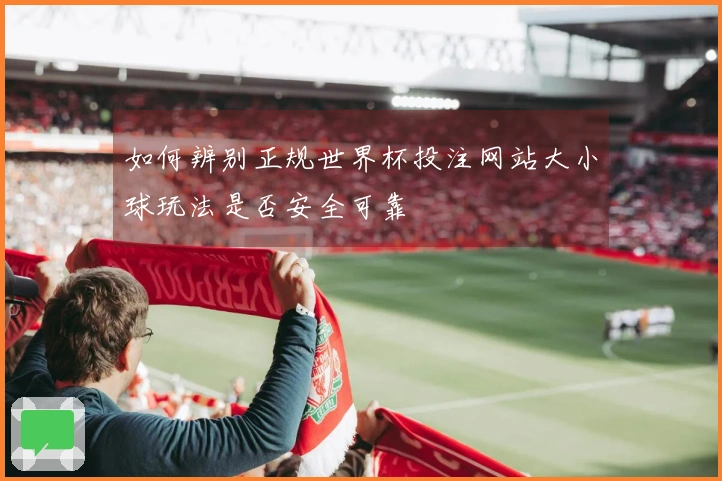 如何辨别正规世界杯投注网站大小球玩法是否安全可靠